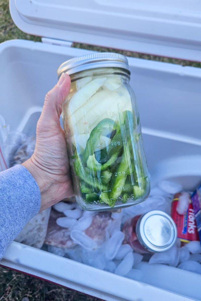 camping hack to pack pre cut veggies and fruit and store in mason jars or plastic bins