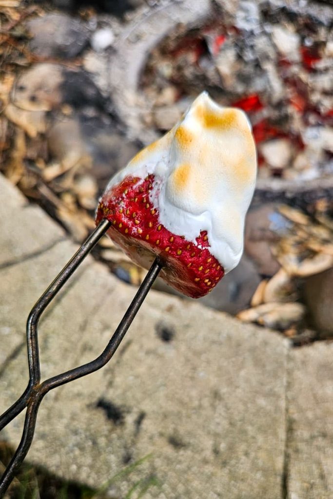 dip a strawberry in marshmallow fluff and roast over the campfire